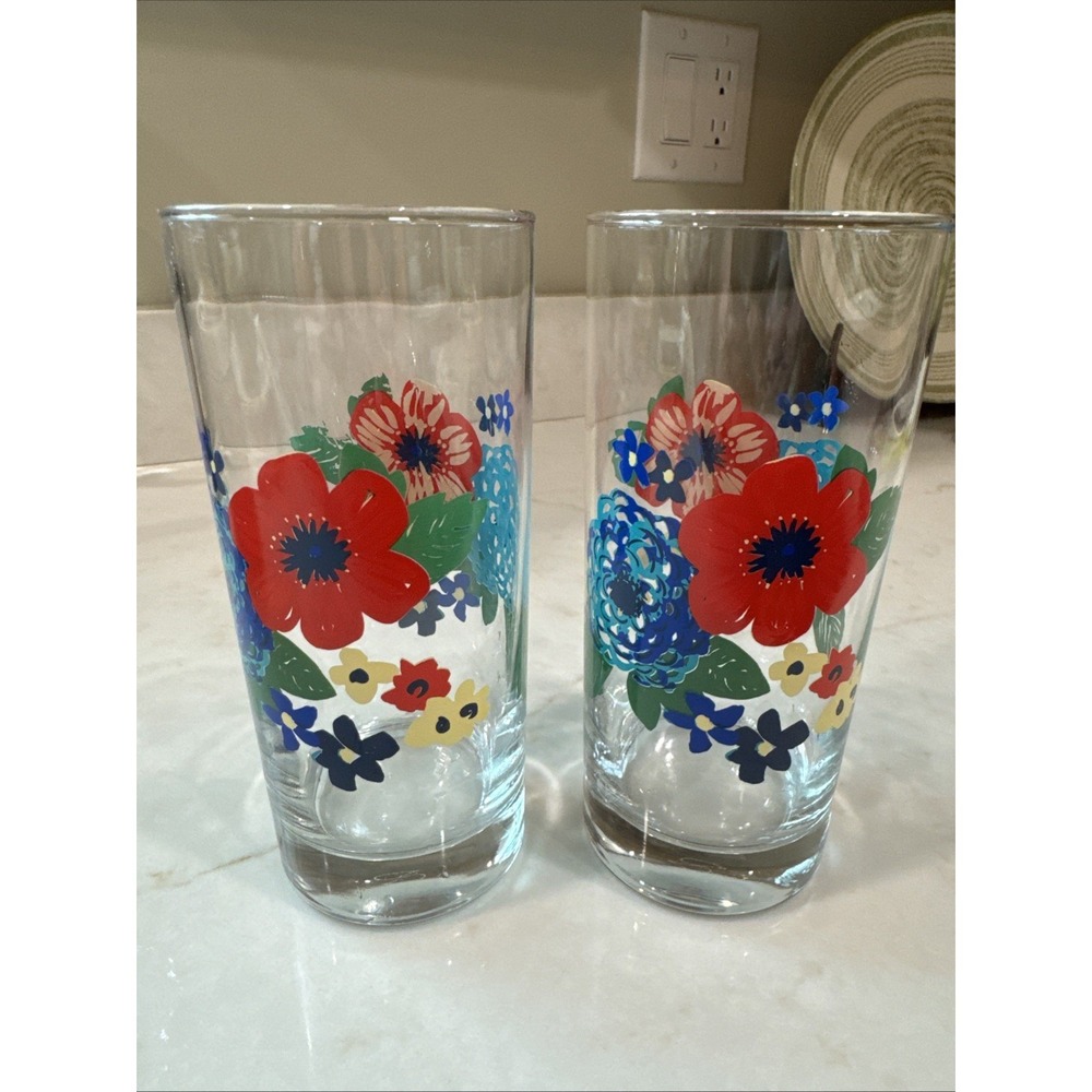 TWO Pioneer Woman Dazzling Dahlias Floral 16 oz Glasses Discontinued